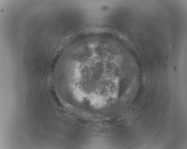 X0000076301397200610271902