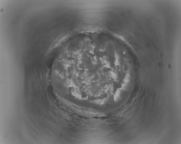 X0000076301399200610271902