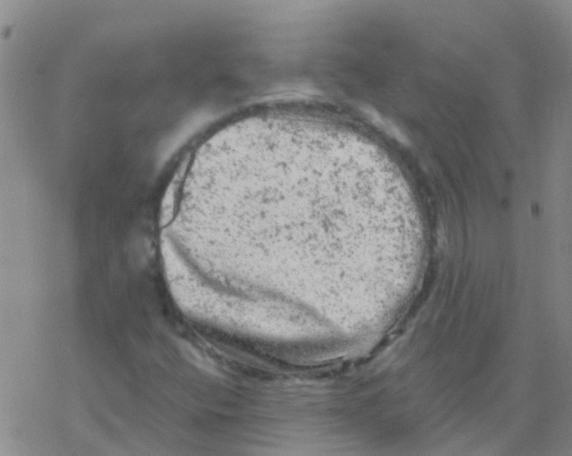 X0000076301400200610271902