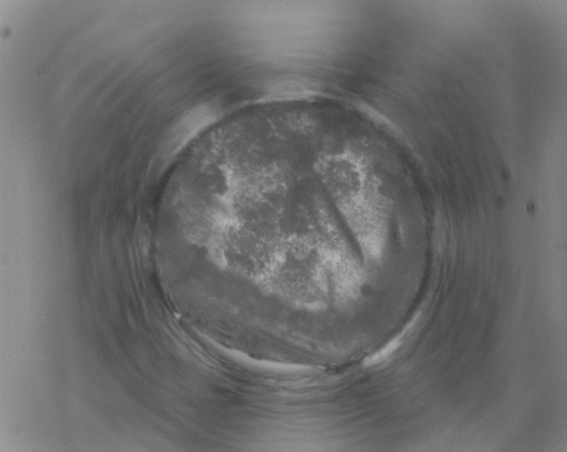 X0000076301401200610271902