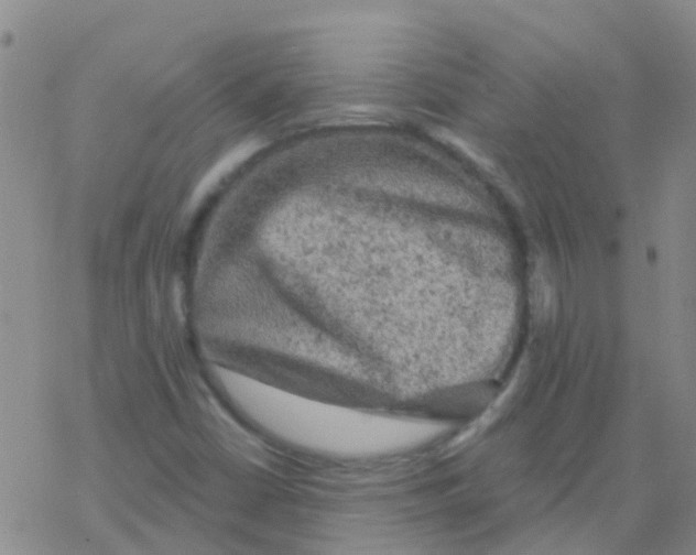 X0000076301402200610271902