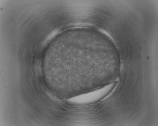 X0000076301403200610271902