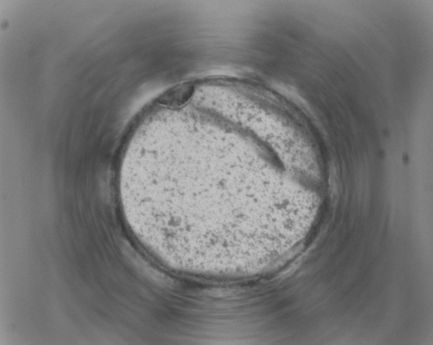 X0000076301404200610271902