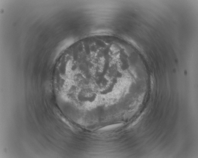 X0000076301405200610271902