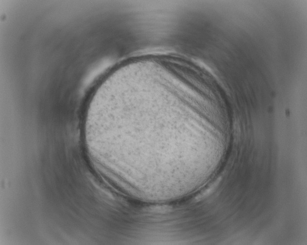 X0000076301406200610271902