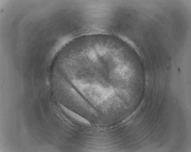 X0000076301407200610271902