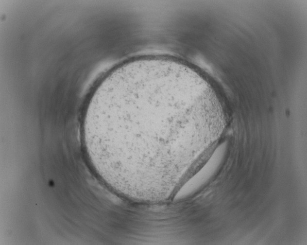 X0000076301408200610271902