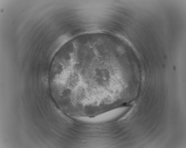 X0000076301409200610271902