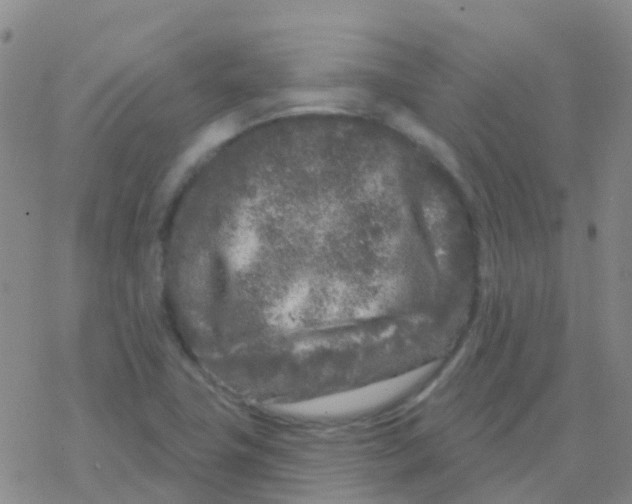 X0000076301411200610271903