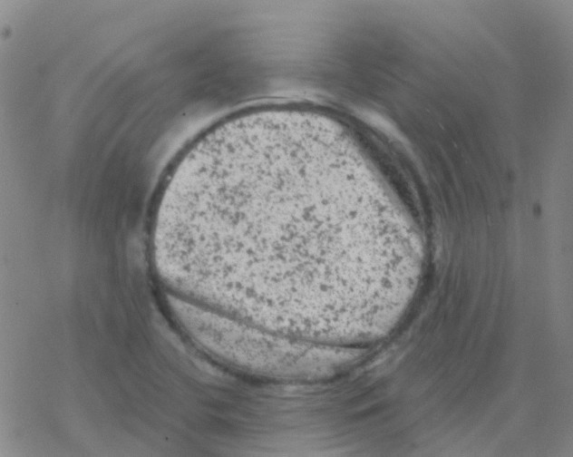 X0000076301412200610271903