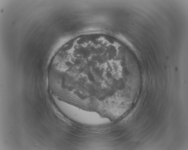 X0000076301413200610271903