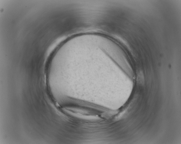 X0000076301414200610271903