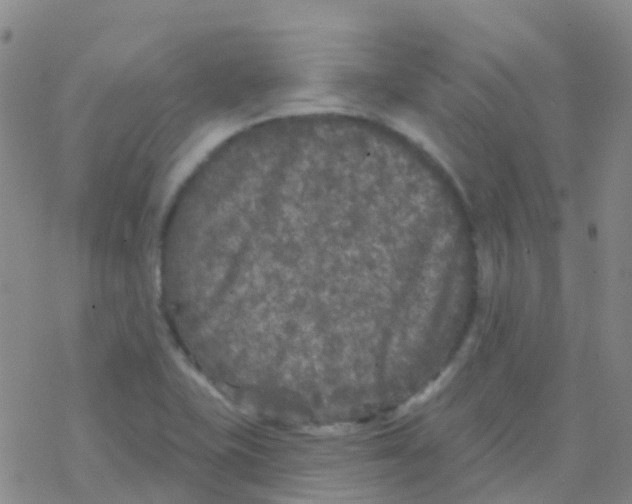 X0000076301415200610271903