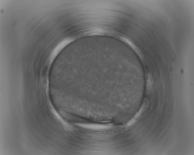 X0000076301418200610271903