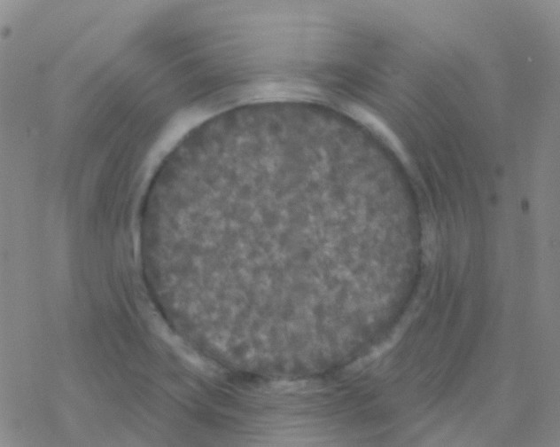 X0000076301419200610271903