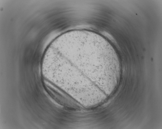 X0000076301420200610271903