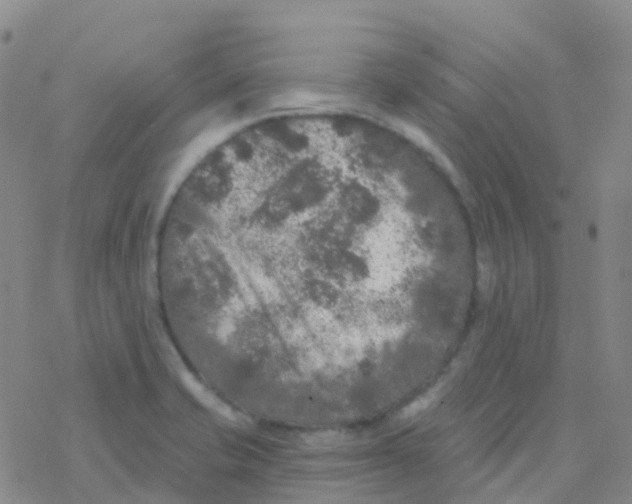 X0000076301421200610271903