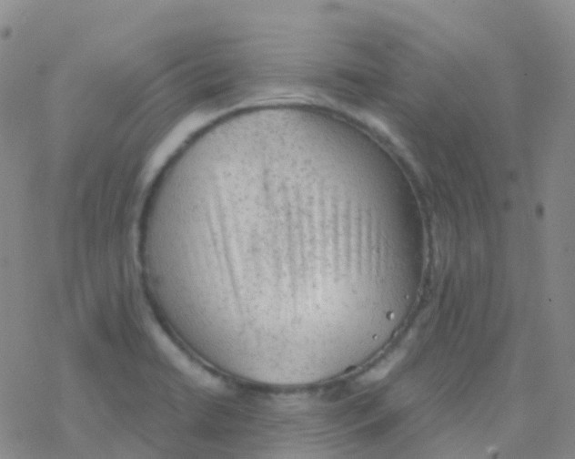 X0000076301422200610271903