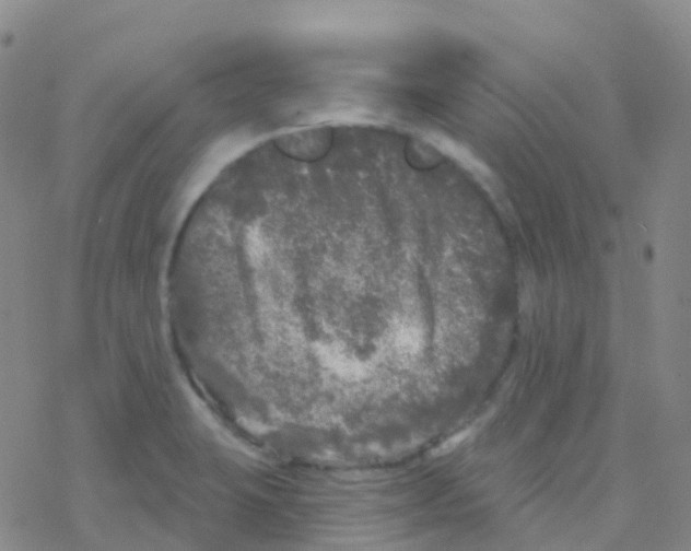 X0000076301423200610271903