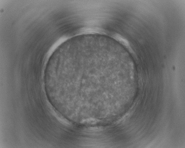 X0000076301427200610271903