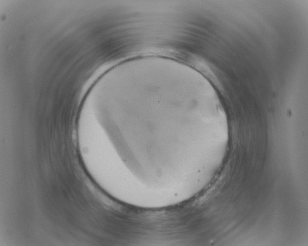 X0000076301428200610271903