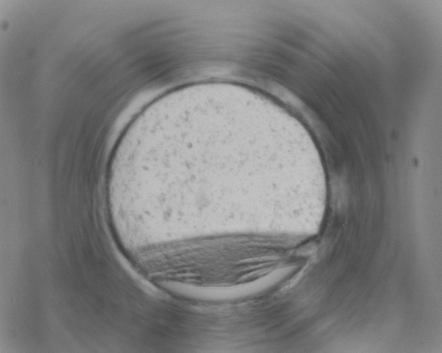 X0000076301432200610271903