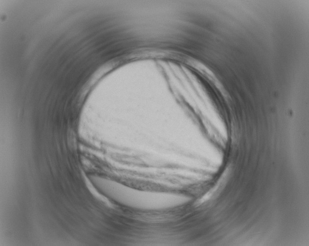 X0000076301433200610271903