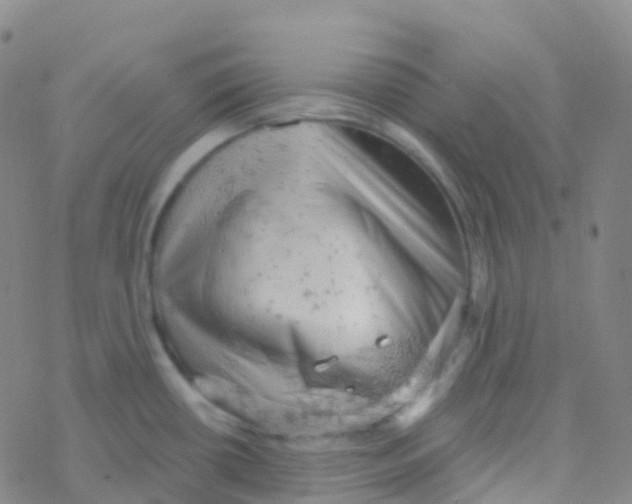 X0000076301434200610271903