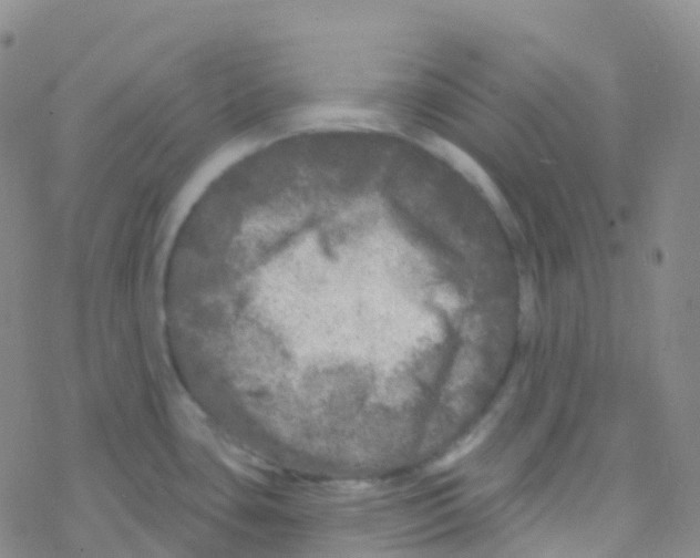 X0000076301435200610271903