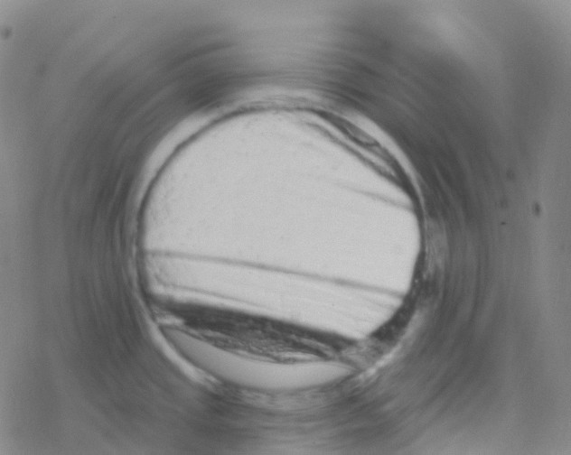 X0000076301437200610271903