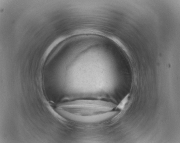 X0000076301438200610271903