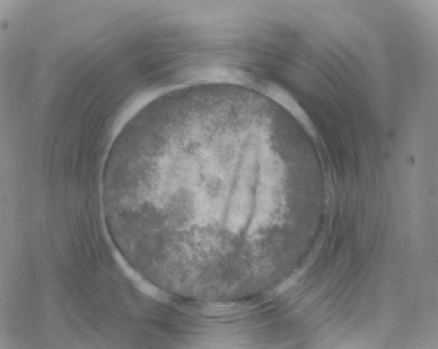 X0000076301439200610271903