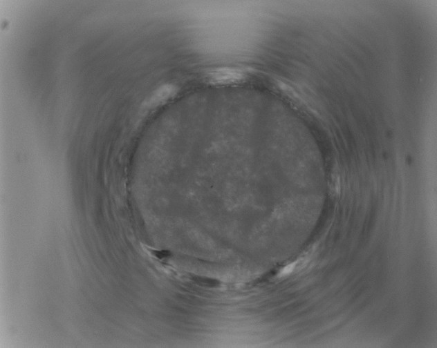 X0000076301441200610271902