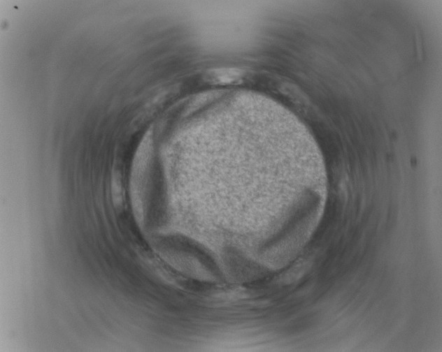 X0000076301442200610271902