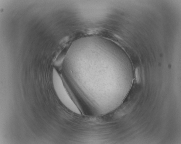 X0000076301443200610271902