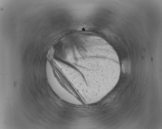 X0000076301444200610271902