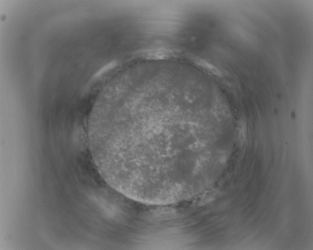 X0000076301446200610271902