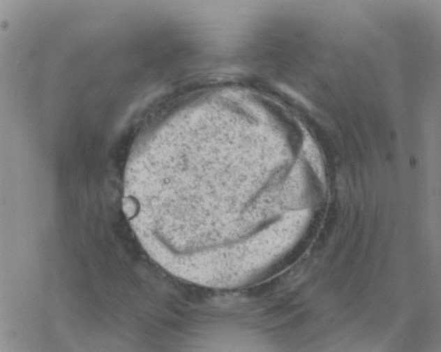 X0000076301447200610271902