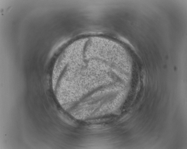 X0000076301448200610271902