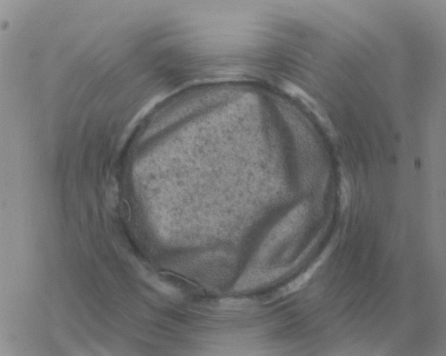 X0000076301449200610271902