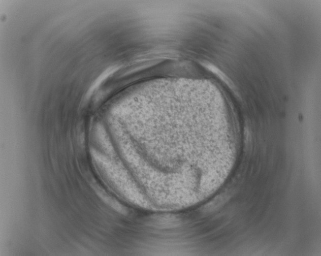 X0000076301450200610271902