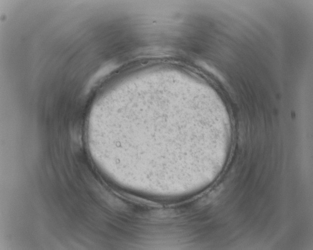 X0000076301451200610271902