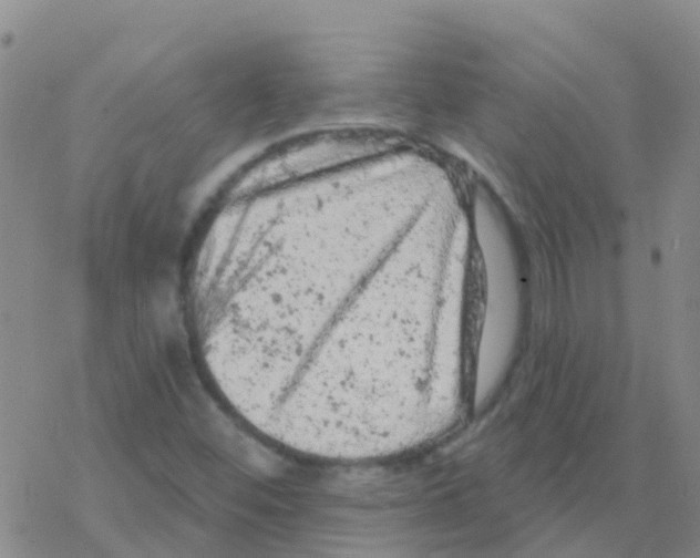 X0000076301452200610271902