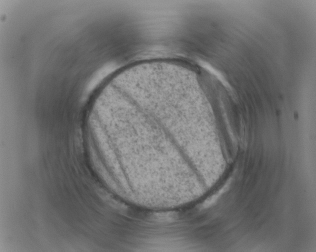 X0000076301453200610271902