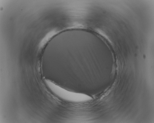 X0000076301455200610271902