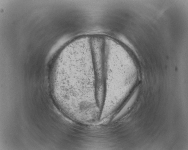 X0000076301456200610271902