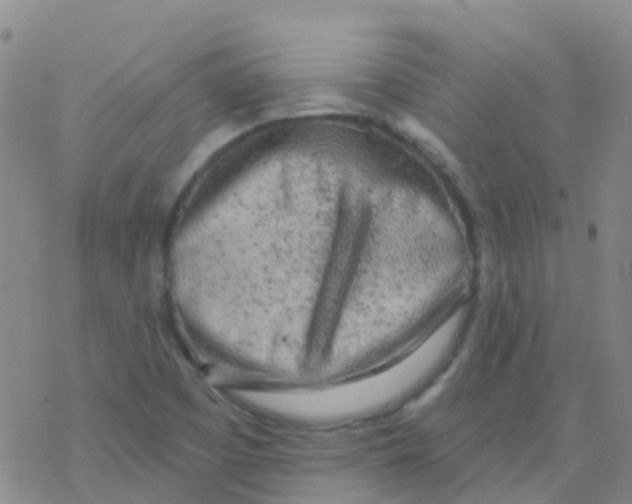 X0000076301457200610271902