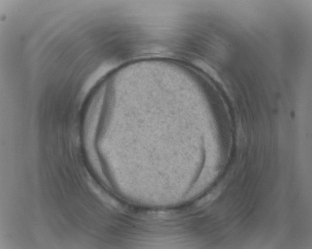 X0000076301458200610271902