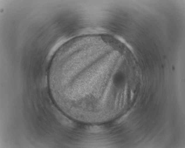 X0000076301459200610271902