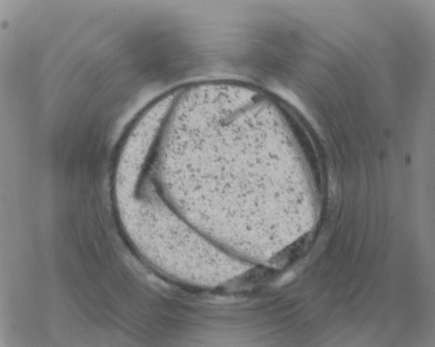 X0000076301460200610271902